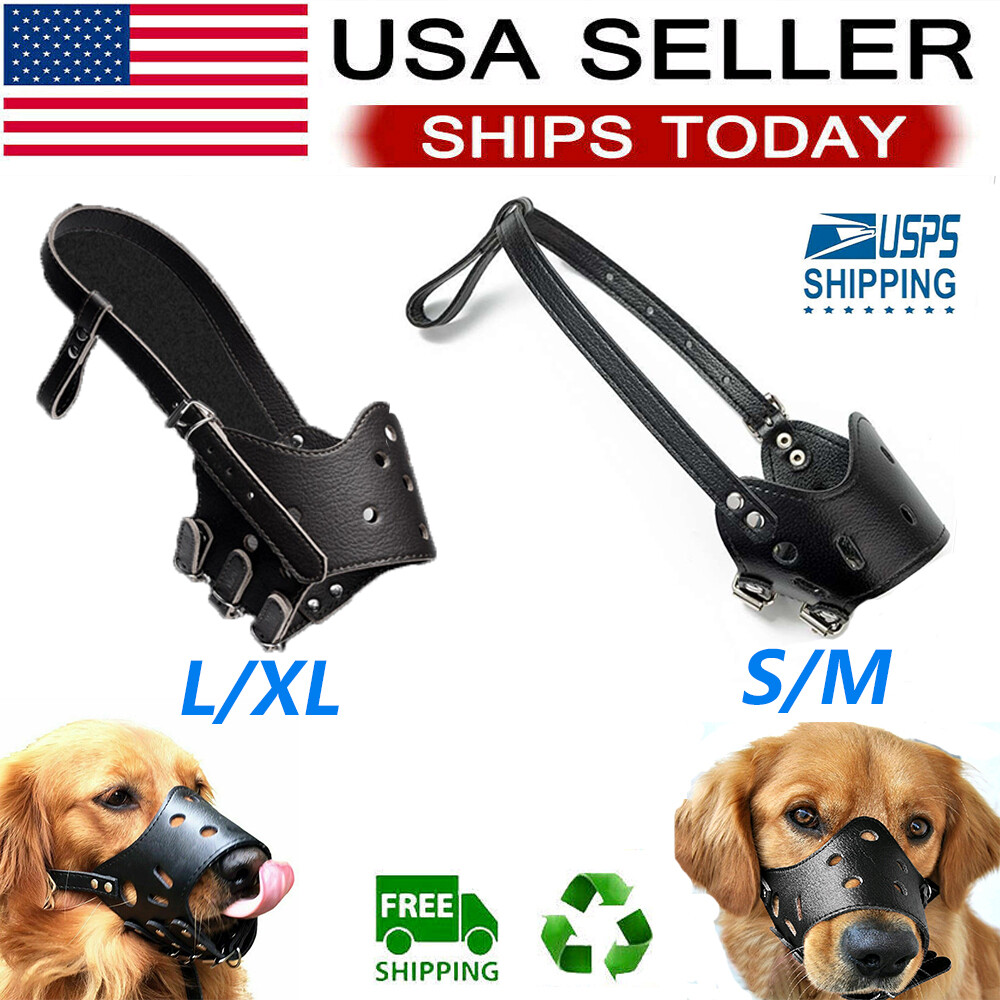 Can Dogs Breathe With Muzzles