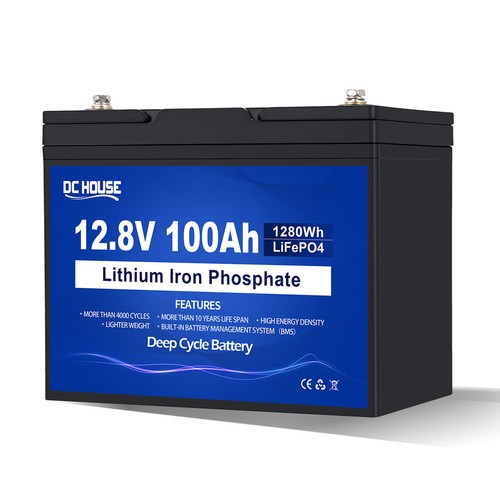 LiFePO4 Battery Lithium Battery 12V 100Ah BMS for RV Trolling Motor Solar Energy - Picture 9 of 9