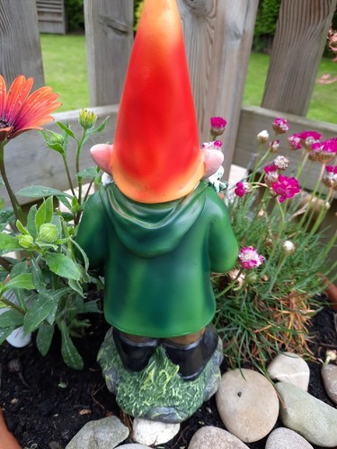 Garden Gnome Cheeky Charlie Gardening 24cm Novelty Gift Present W3Y FATHERS DAY - Picture 5 of 5