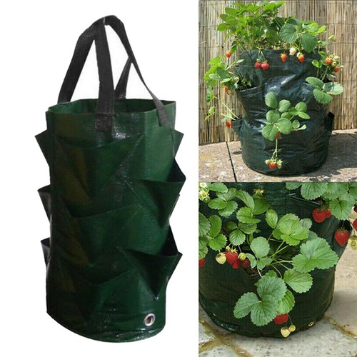 Bolsas de patatas jardinería transpirable fresa bolsa para plantar verduras con asas - Imagen 8 de 9