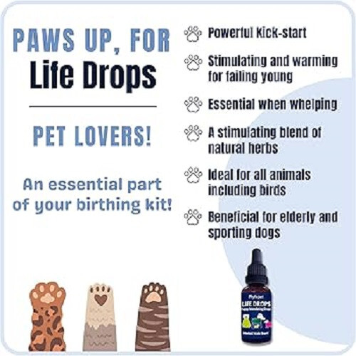 Phytopet Herbal 'Kick Start' Remedy Life Drops for Stimulating Puppies - 10ml - Bild 4 von 4