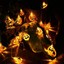 Bild 6 von 7
