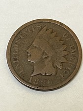  on The Hot Collector