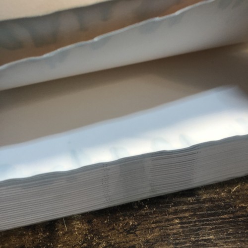 Blackflame by Will Wight (2023, Trade Paperback) - Picture 13 of 14