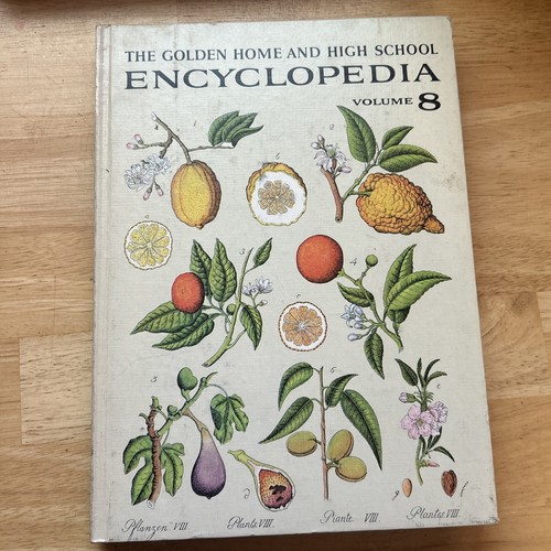 The Golden Home And High School Encyclopedia Complete Set 1-20 Golden Press 1961 - Bild 12 von 24