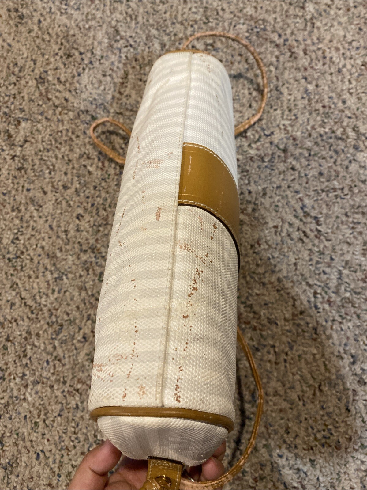 Picture 5 of 12
