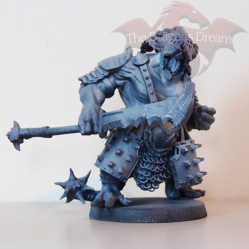 Lizardman Chieftain - Heroquest, Dungeons and Dragons, 5e, Pathfinder, NPC - Foto 6 di 8