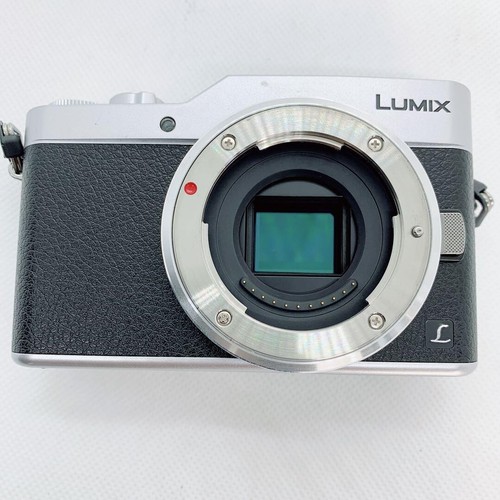 Panasonic LUMIX DC-GF9W Double Zoom Lens Kit Silver Used - Picture 4 of 12