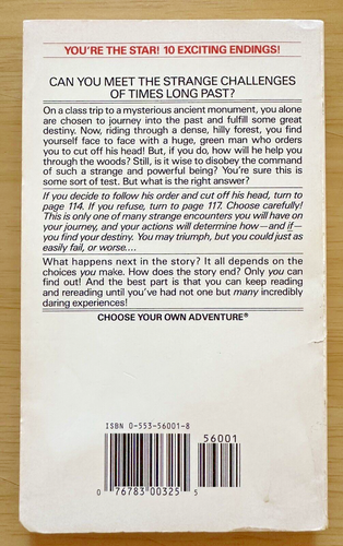 CYOA ~ Choose Your Own Adventure ~ The Secret of Mystery Hill ~ #141 ~ 1993 1st - Picture 3 of 5