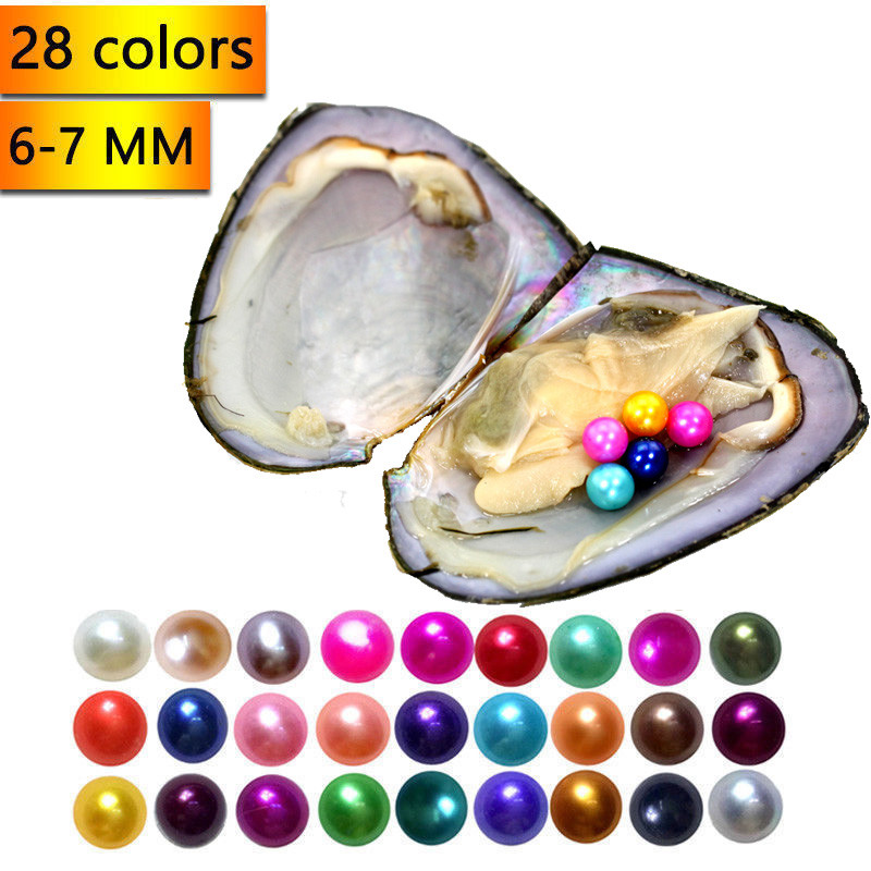 100pcs Freshwater Akoya Oyster with 5 round AAA pearl in the shell mixed color 100pcs Freshwater Akoya Oyster with 5 round AAA pearl in the shell mixed color
