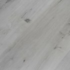 Truro Luxury Vinyl SPC Plank With 1mm IXPE Rubber Pad Sample