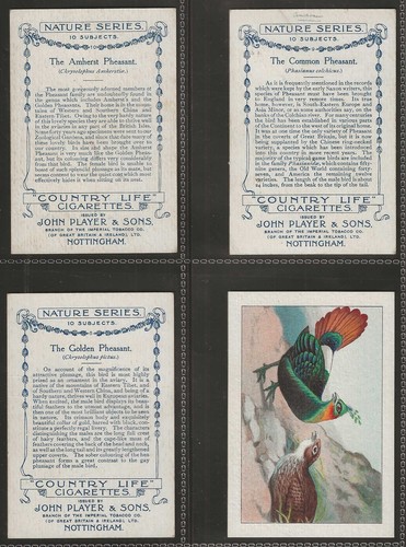 PLAYERS-FULL SET- NATURE SERIES 1908 (BIRDS X10 CARDS) ALL SCANNED - Picture 3 of 7