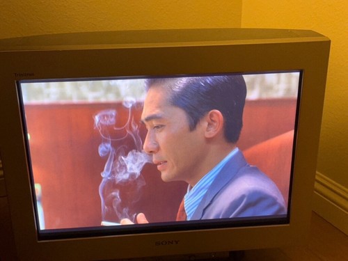 Sony Trinitron GDM-FW900 Calibrated Widescreen 16:10 VGA BNC CRT Monitor - Picture 21 of 22