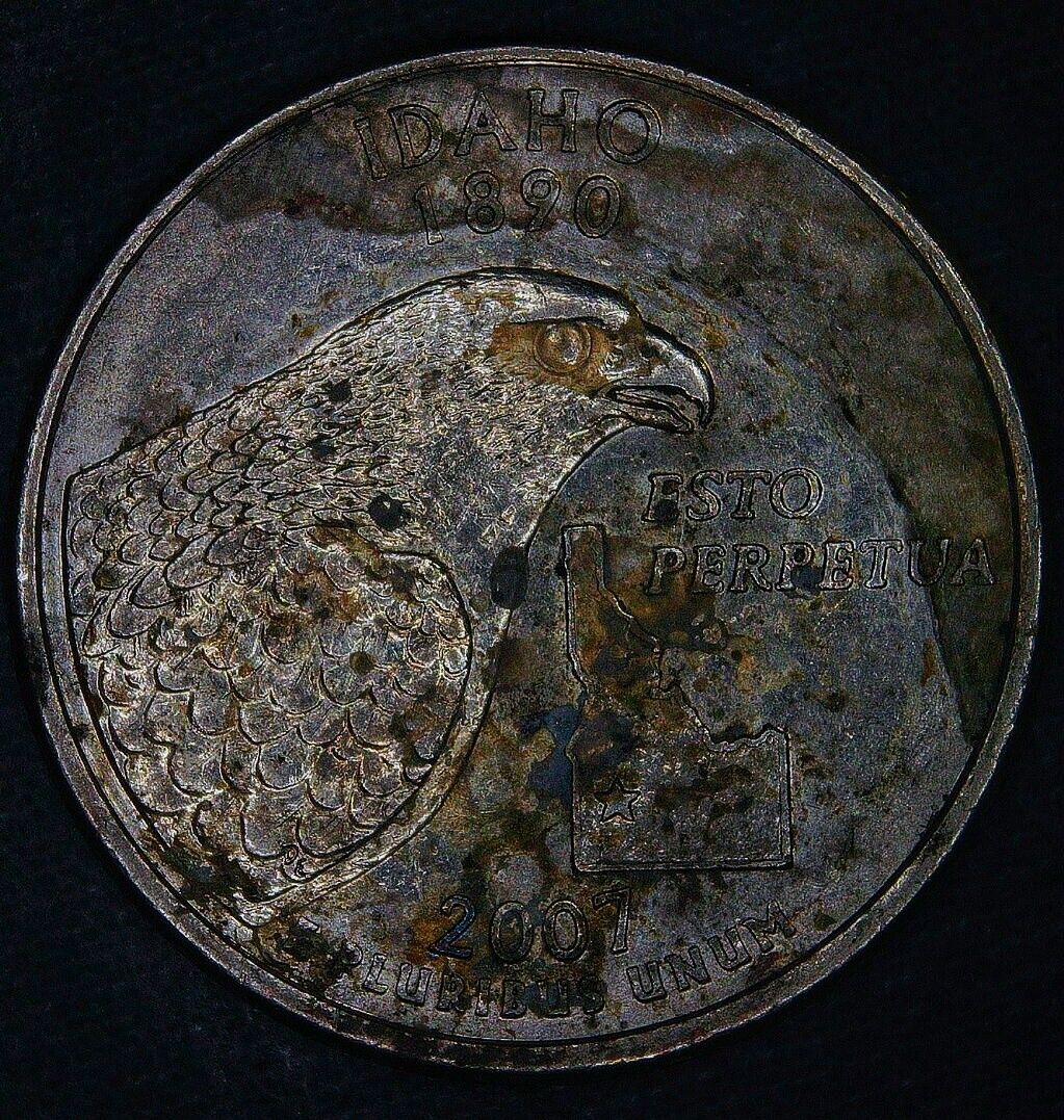 Picture 4 of 16