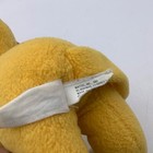 Foto 9 di 9