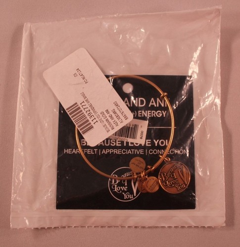 NWT Authentic ALEX AND ANI Because I Love You Expandable Charm Bangle in Gold - Picture 2 of 6