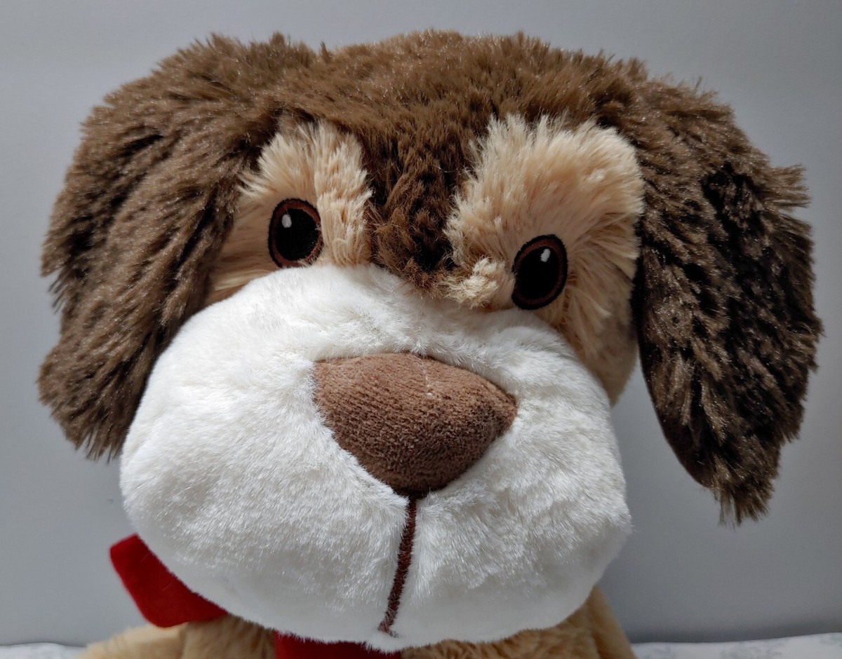 トイプー Petsmart 2019 Plush Canadian Version Chance Puppy Dog Toy Squeaky
