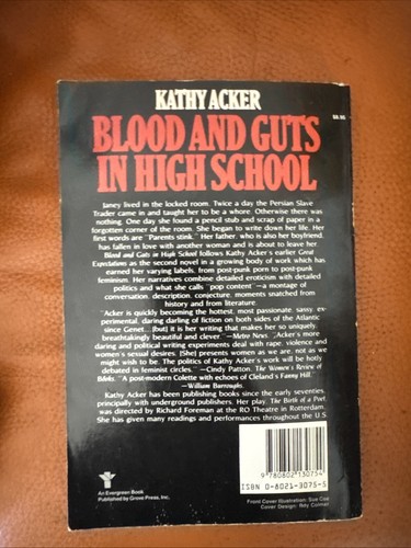 BLOOD AND GUTS IN HIGH SCHOOL (EVERGREEN BOOK) Kathy Acker Picador 1984 2nd Pr. - Picture 2 of 4