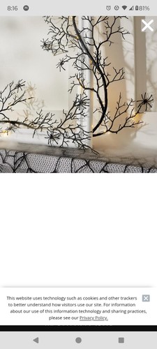 GRANDINROAD PRE LIT SPIDER BRANCH GARLAND 164031 NEW - Picture 2 of 7