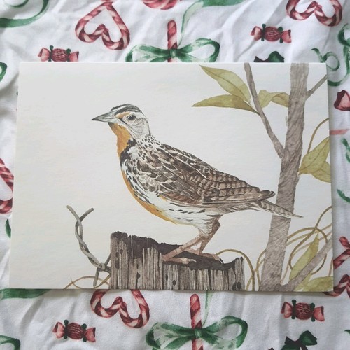 Vintage 1979 5 leere Tier Grußkarten mit Umschlägen American Wildlife Current - Bild 3 von 10