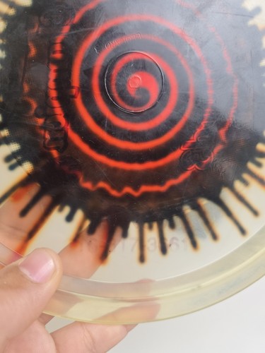 Innova Clear Dye Champion Leopard3 170 gramos disco golf remolino - Imagen 4 de 12