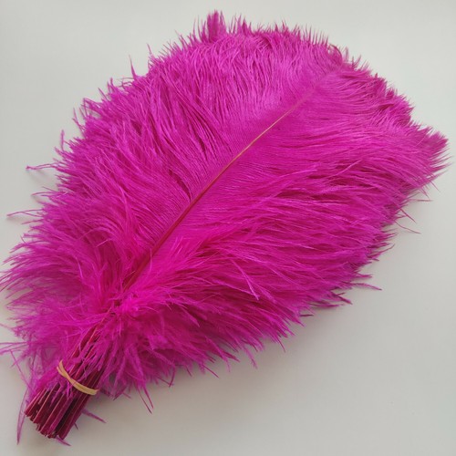 Wholesale 10-100pcs 6-24inch/15-60cm Natural Ostrich Feathers Wedding Decoration - Picture 10 of 36