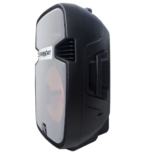 Sistema de sonido ChromaCast portátil PA 2 canales 2 vías recargable activo 120 vatios - Imagen 3 de 9