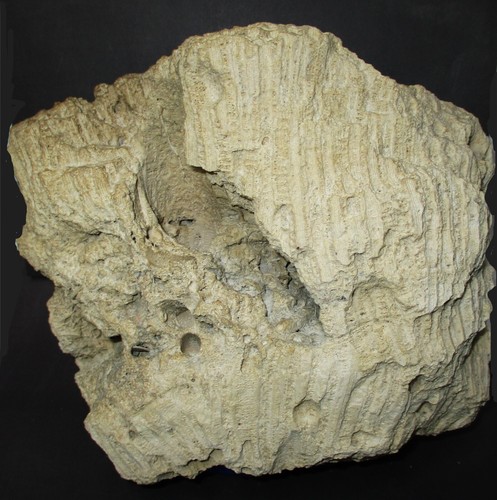 Decorazione acquario acquari salata corallo bianco duro originale 9x5x9 - Foto 2 di 4