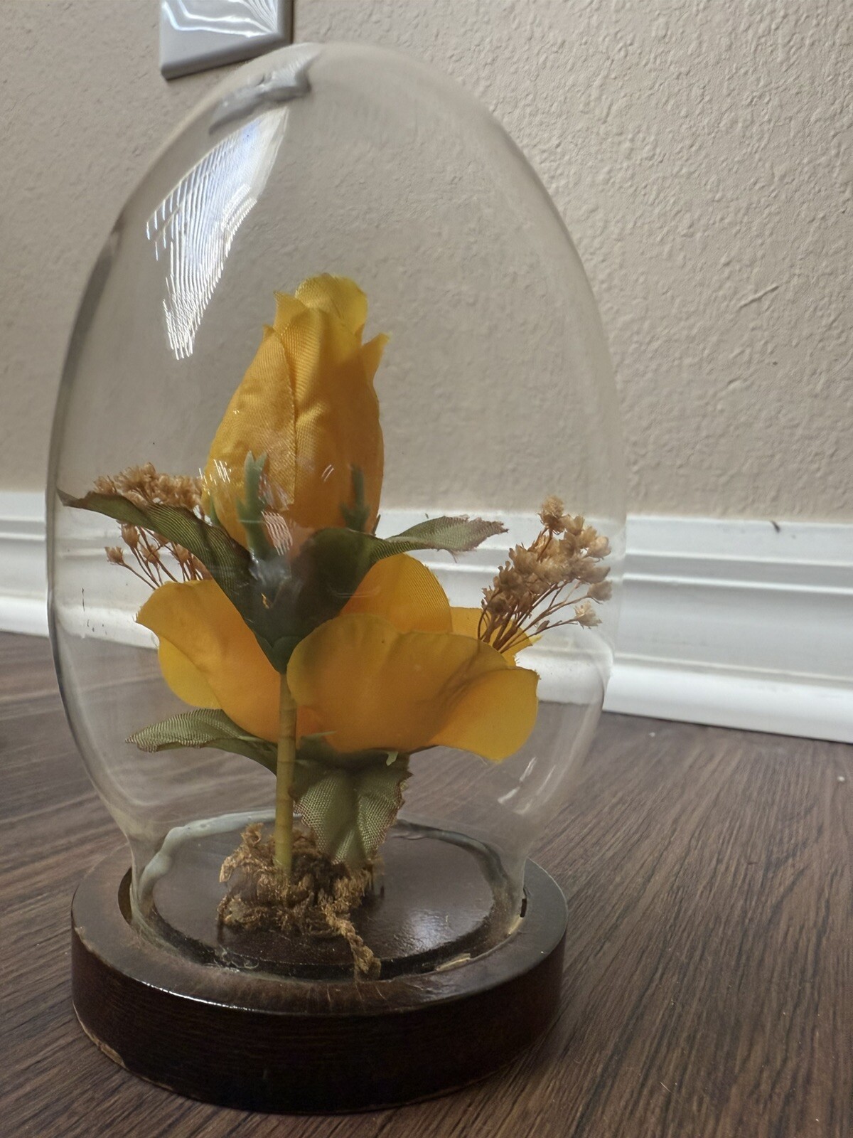 Picture 4 of 7