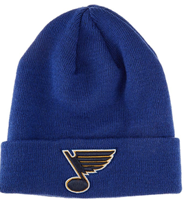 youth stanley cup hat
