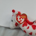 Bild 5 von 6