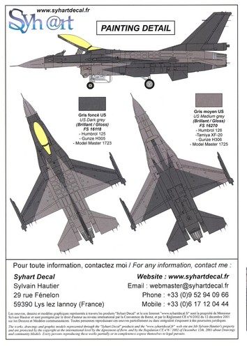 Syhart Decals 1/48 F-16AM FALCON SOLO DISPLAY 2009 Belgian Air Force - Picture 4 of 4