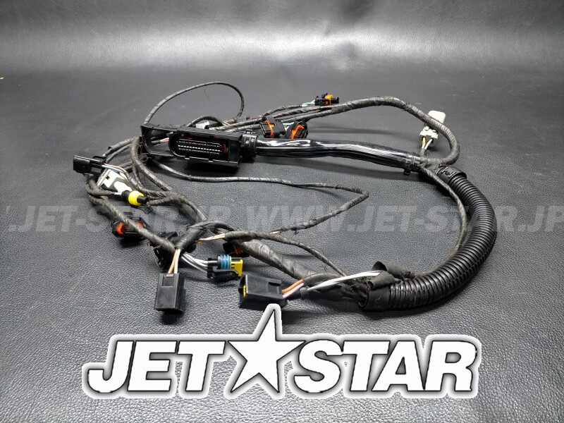 RXT 215'09 OEM (Engine-Harness) ENGINE WIRING HARNESS ASS'Y RXT 215'09 OEM (Engine-Harness) ENGINE WIRING HARNESS ASS'Y
