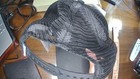 Bild 3 von 8
