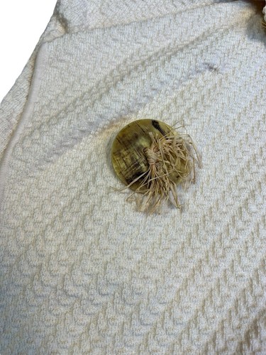 Vintage John Galliano Fall 1999 Women's Cardigan Assymetrical Wool Beige Size L - Picture 18 of 21