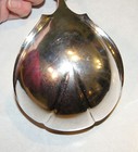 Picture 6 of 7