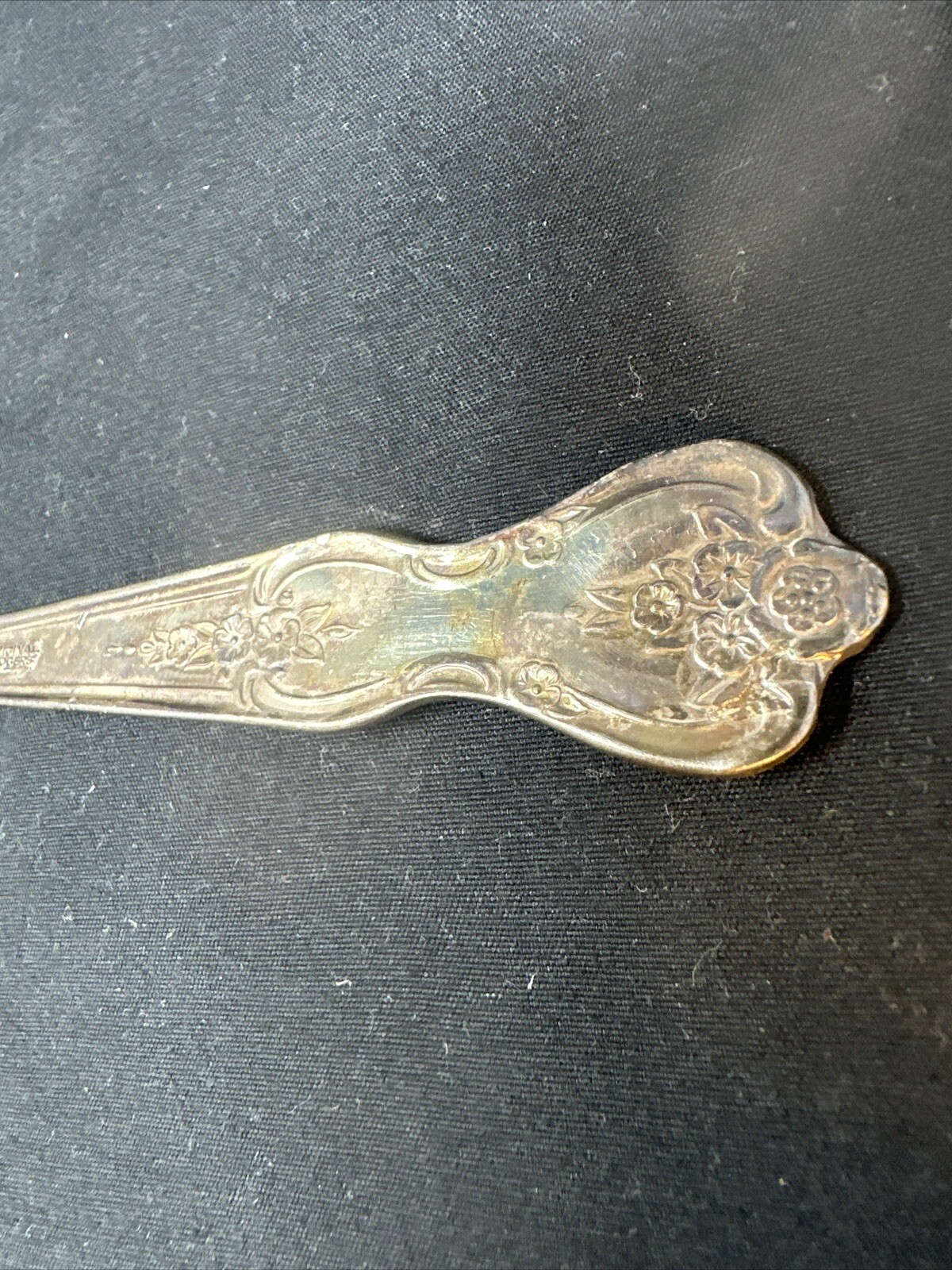 Picture 8 of 10