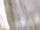 Bild 3 von 8