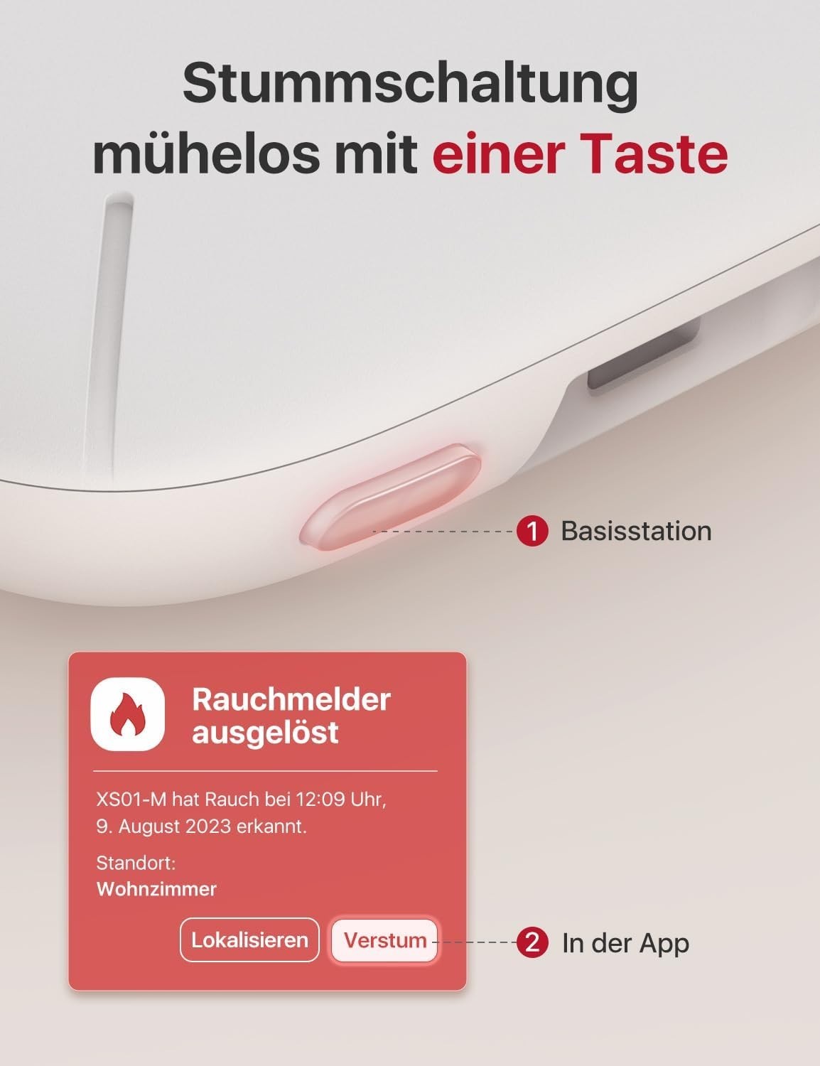 Bild 9 von 11