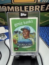 2025 Topps x Andy Friedman Shoebox Treasures Ernie Banks Encased Canvas SSP
