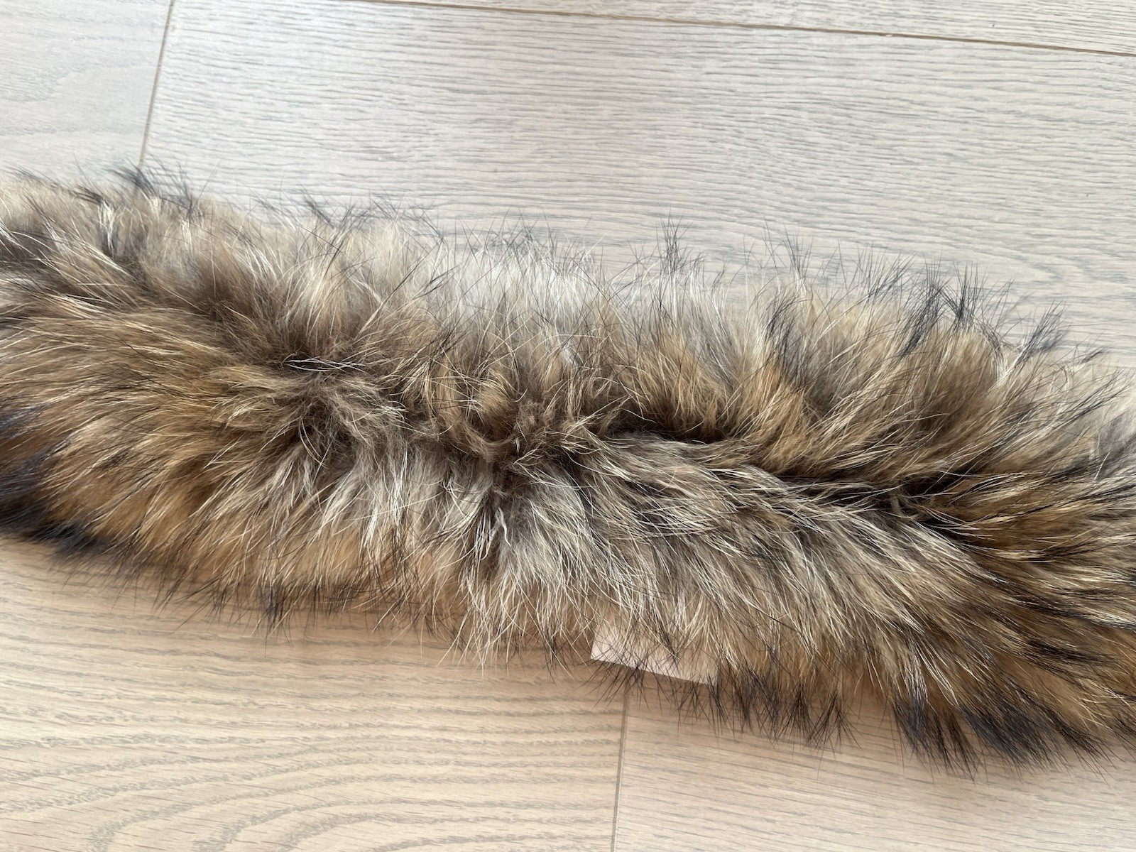 Bild 4 von 8