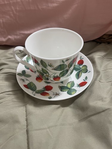 Roy Kirkham England Fruit Garden Strawberry Tasse & Untertasse Bone China 1990 - Bild 2 von 5