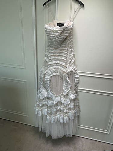 Beautiful Needle And Thread Wild Rose Ruffle Dress Size 6 Subtle Pink Brand New - Picture 17 of 18