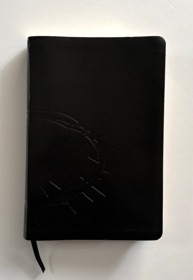 Foto 1 di 15