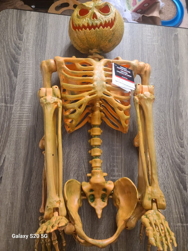 "Midnight Pumpkin Creature" - 60" Einweg Kürbis Skelett Halloween - leuchtet - Bild 15 von 22