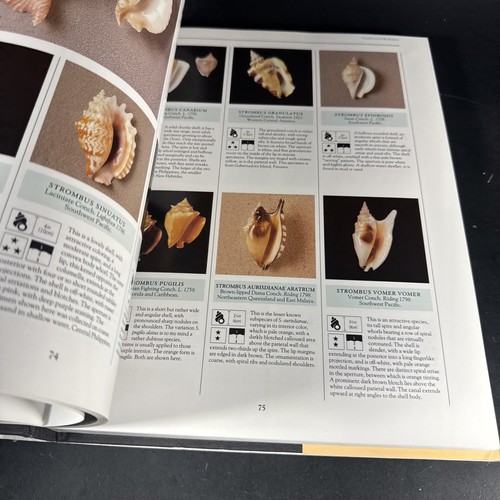 THE ENCYCLOPEDIA OF SHELLS By Kenneth R. Wye - Hardcover 1998 Edition - Picture 14 of 19