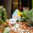 Miniature Resin Fish Bowl Doll House Round Fish Tank Miniature Goldfish Bowl