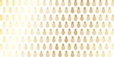 12 x 24 inch Gold Pineapple Acetate Specialty Paper by Die Cuts with a View