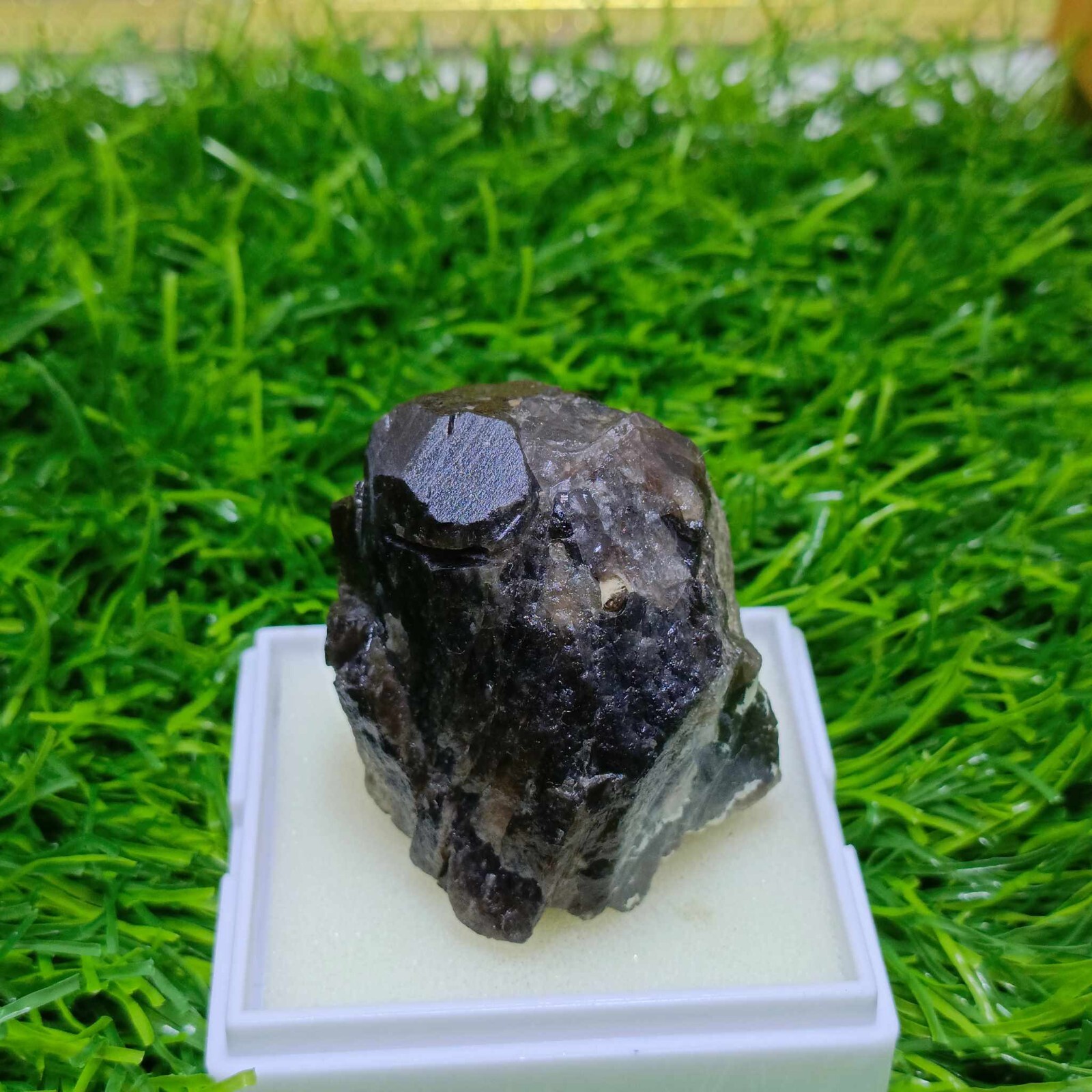 Picture 1 of 4
