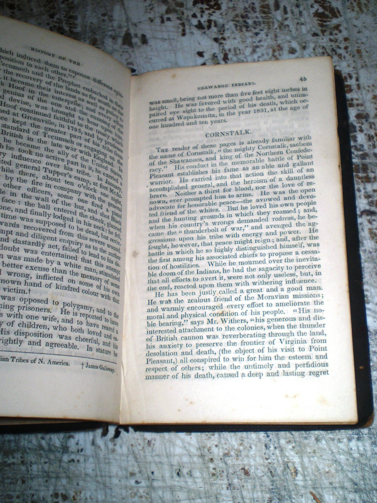 Picture 7 of 7